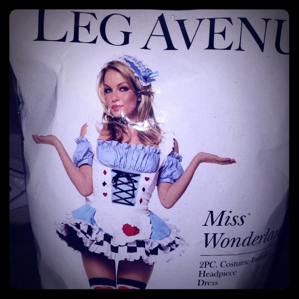Miss Wonderland Alice Halloween Costume